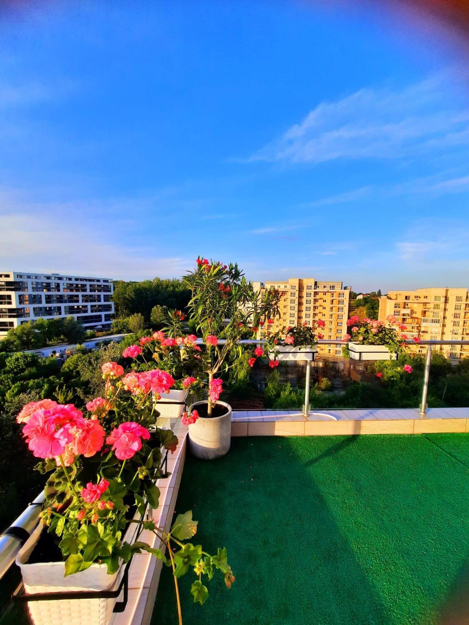 דירות Penthouse View Aeroport Iasi 2 מראה חיצוני תמונה